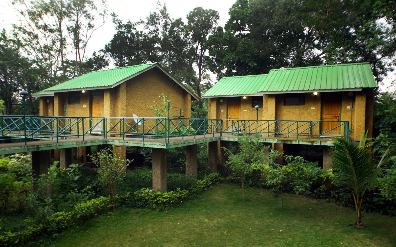 Mpt White Tiger Forest Lodge Tāla Eksteriør bilde