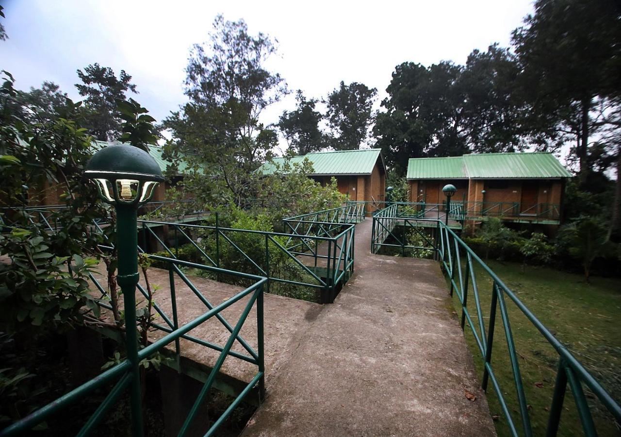 Mpt White Tiger Forest Lodge Tāla Eksteriør bilde