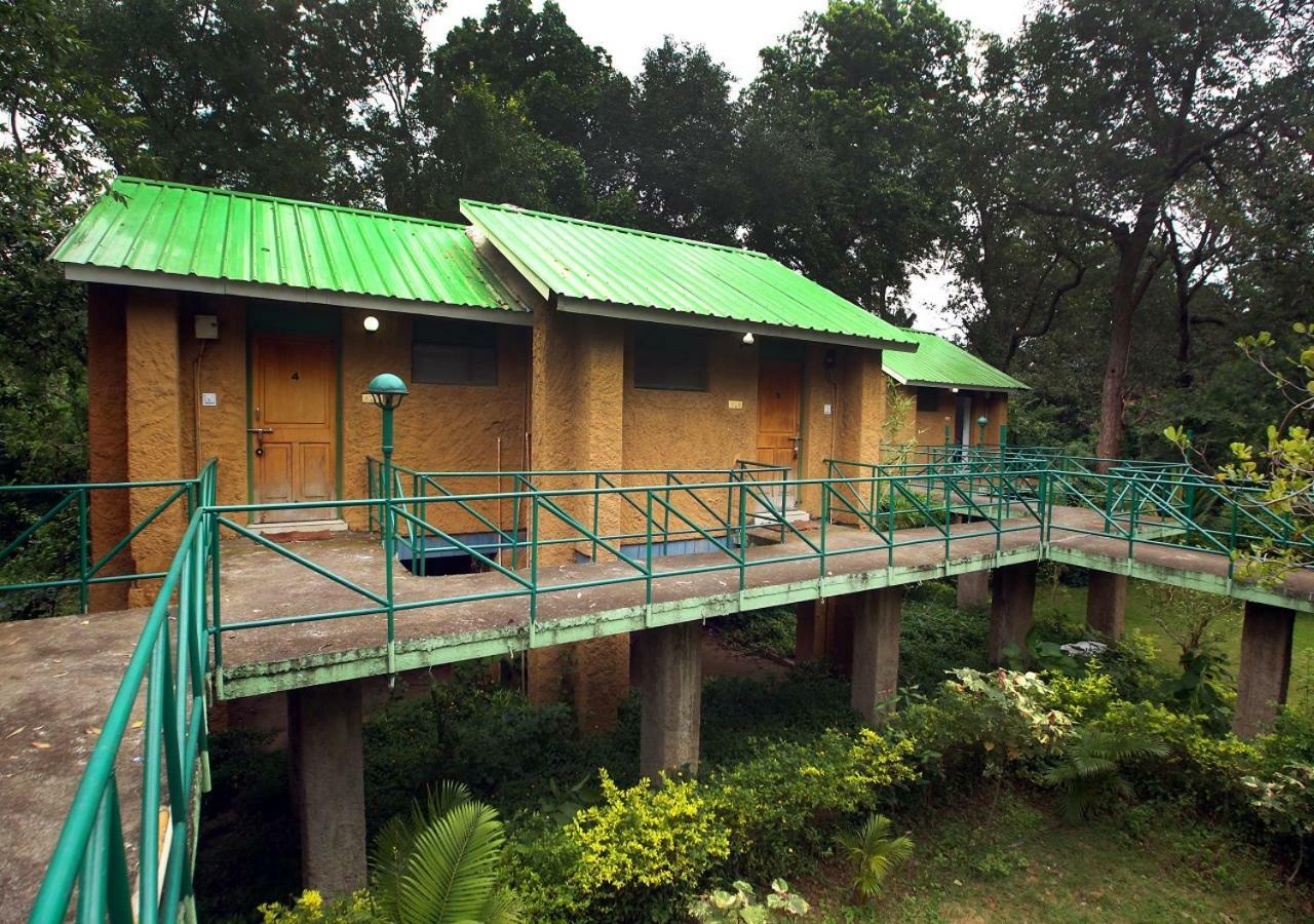 Mpt White Tiger Forest Lodge Tāla Eksteriør bilde
